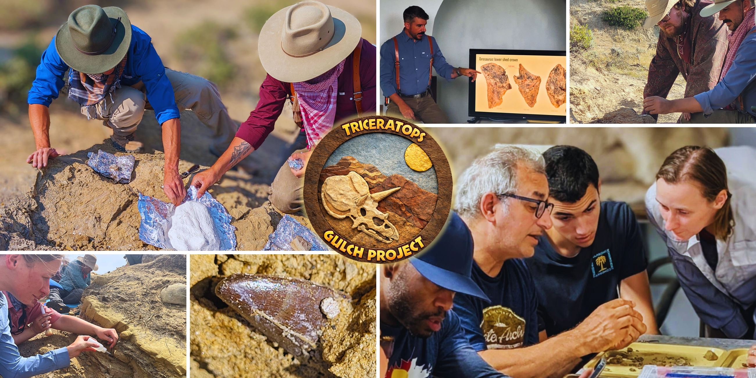 TGP AD 2026 Teaching 