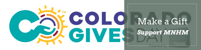 Ad for museum fundraiser